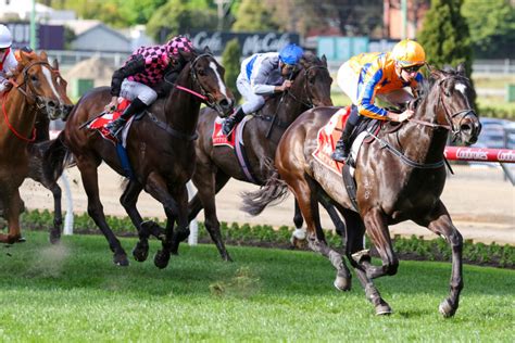 moir stakes odds|AJ Moir Stakes 2023 Odds & Field .